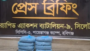 চুনারুঘাটে ৮ কেজি গাঁজা জব্দ